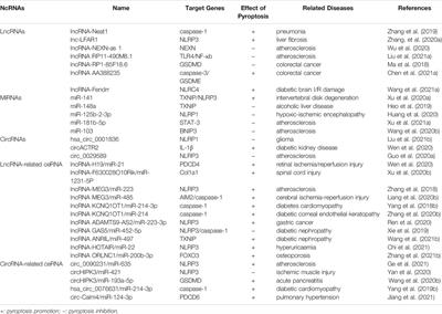 Regulation of Pyroptosis by ncRNA: A Novel Research Direction